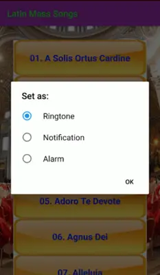 Latin Catholic Mass Songs android App screenshot 0